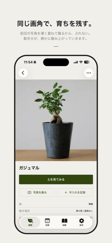 うちの植物の定点撮影画面